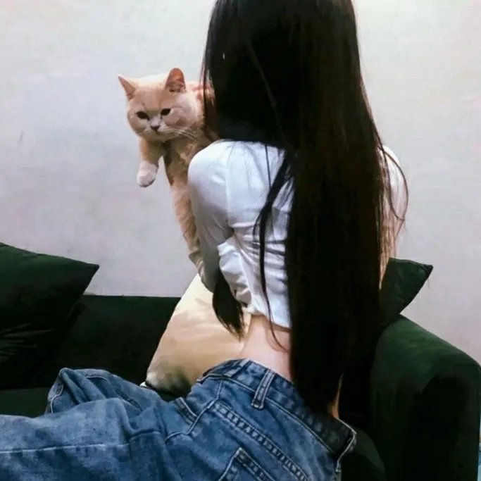 魔术师和消失的女孩