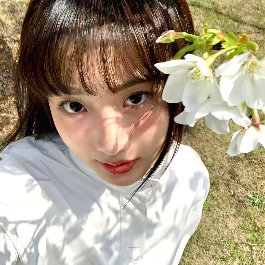 菜鸟老警第五季